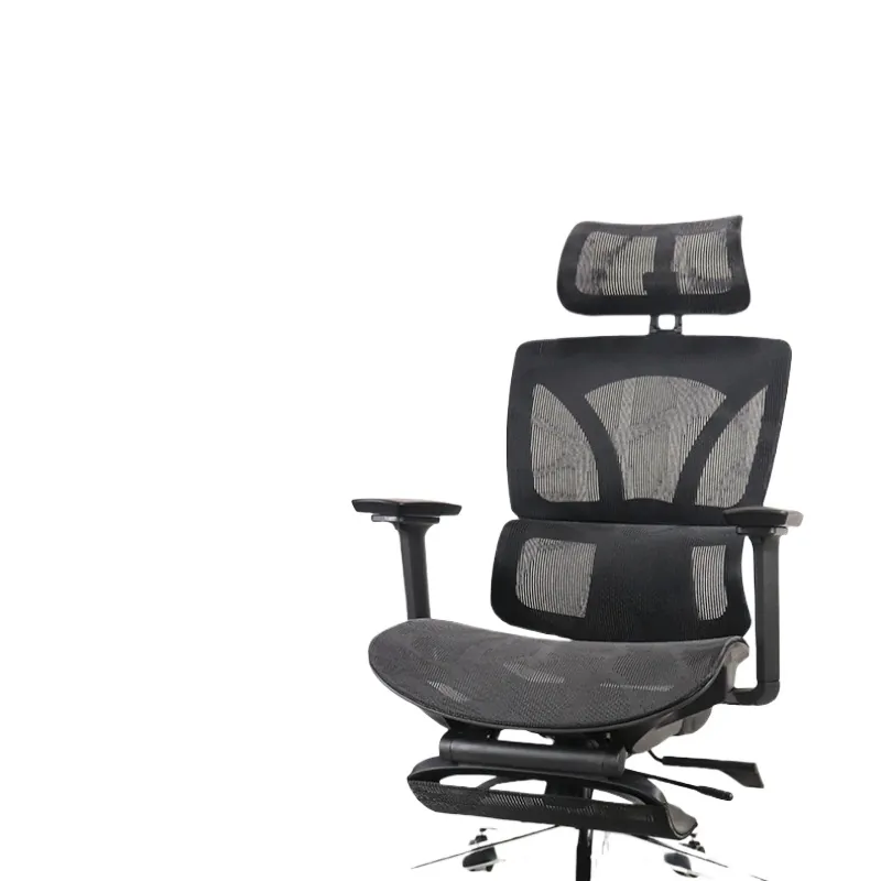 Ergonomic Office Chair for Rui - Home Office Ergonomics recension och pris