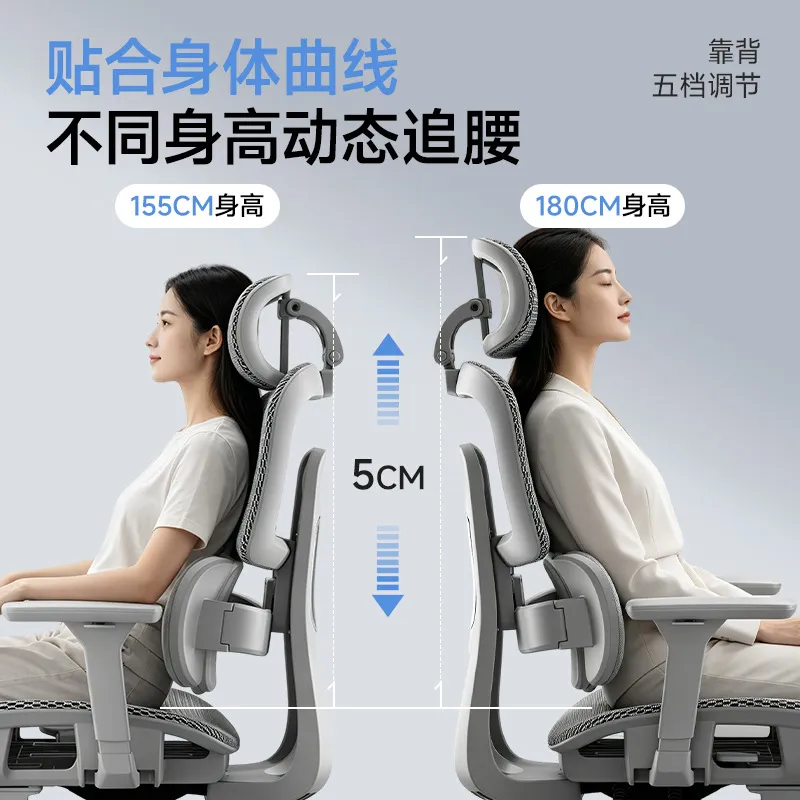 Ergonomic Office Chair with Lu - Home Office Ergonomics recension och pris