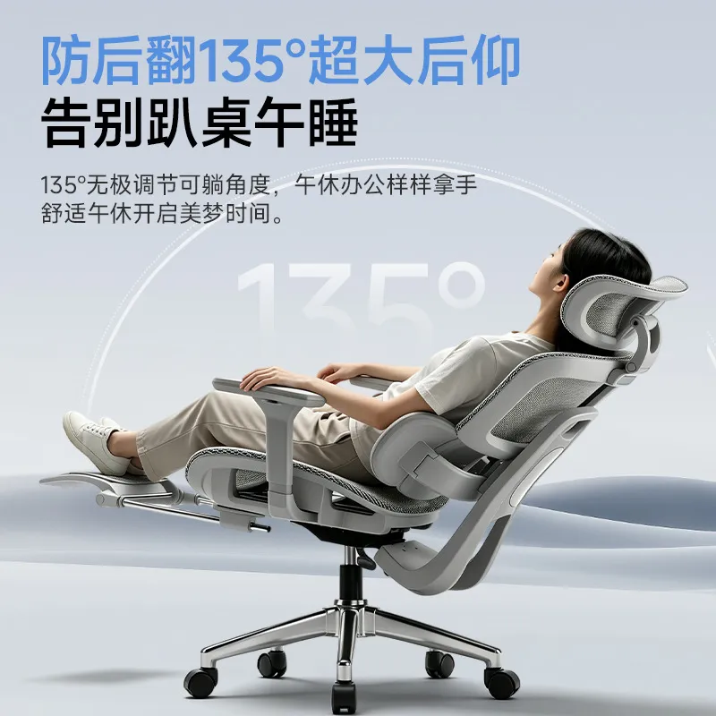 Ergonomic Office Chair with Lu - Home Office Ergonomics recension och pris