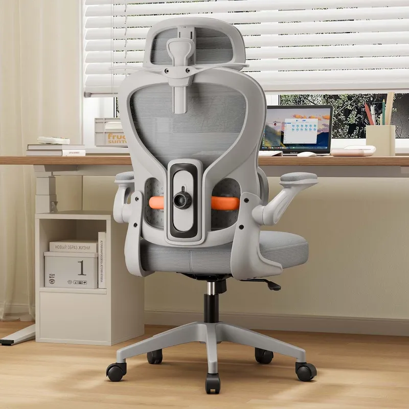 Ergonomic Computer Chair Home  - Home Office Ergonomics recension och pris