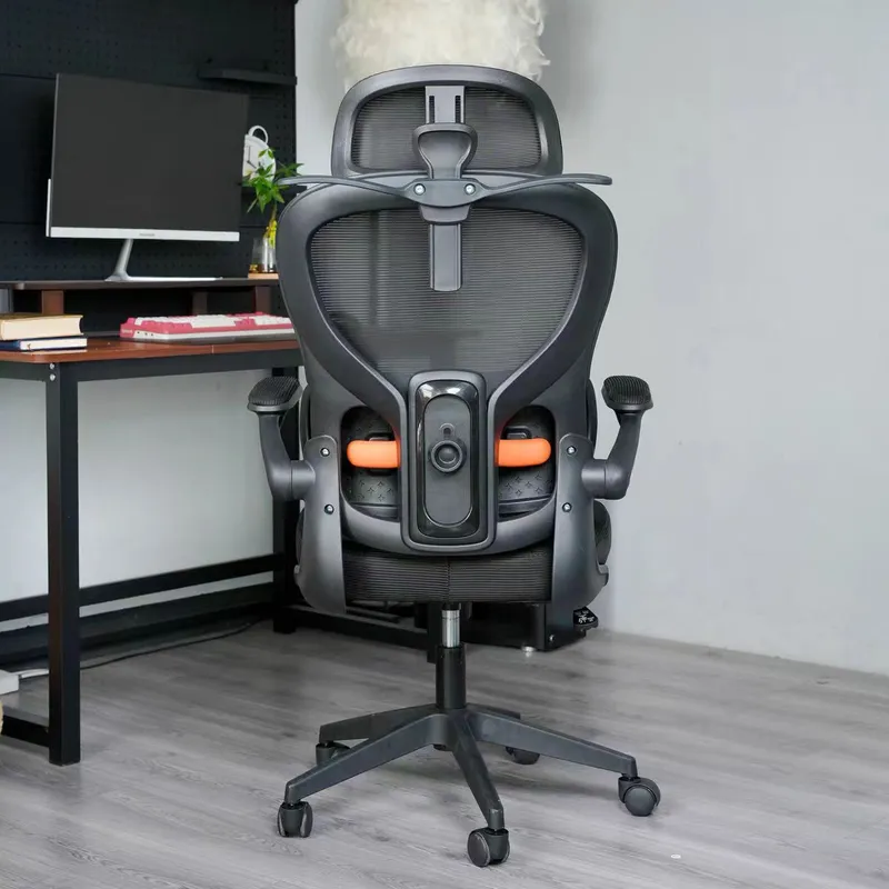 Ergonomic Computer Chair Home  - Home Office Ergonomics recension och pris
