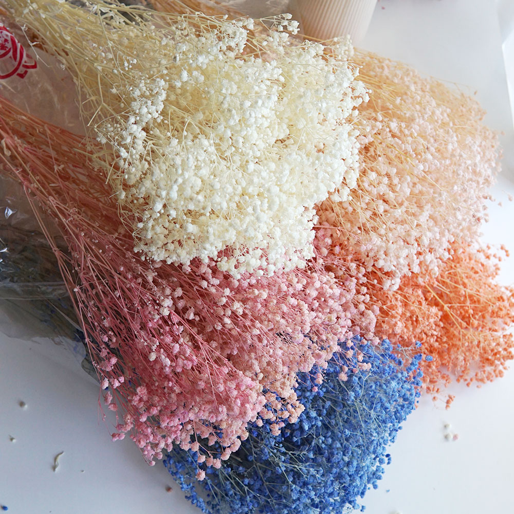 50g/Colorful Natural Preserved - Home Office Bleaching recension och pris