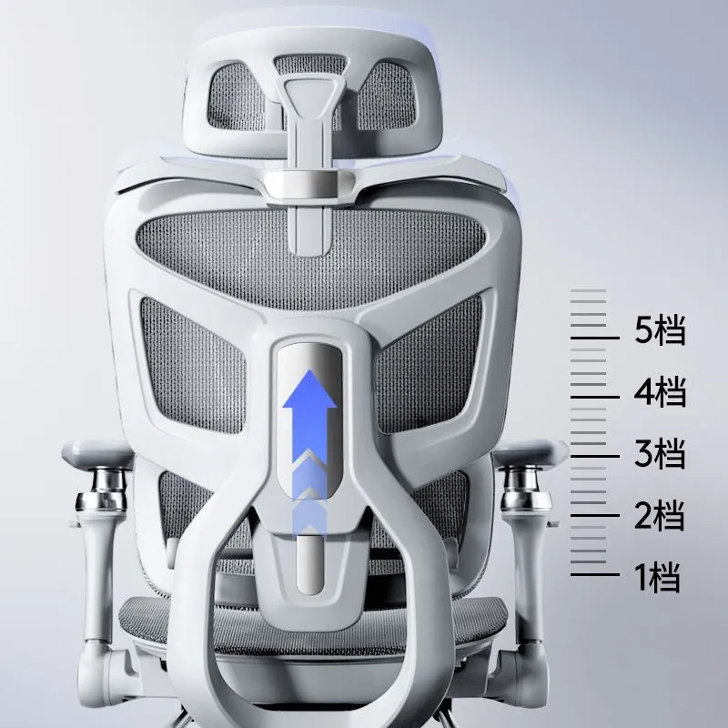 Ergonomic Computer Chair with  - Home Office Ergonomics recension och pris